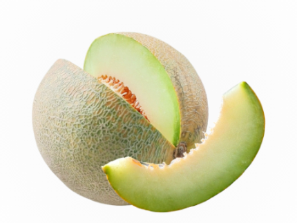 Rock Melon